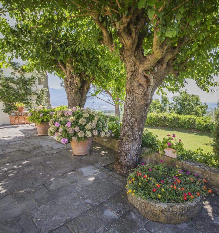 Campopineta Apartment Incisa in Val d'Arno Exterior foto